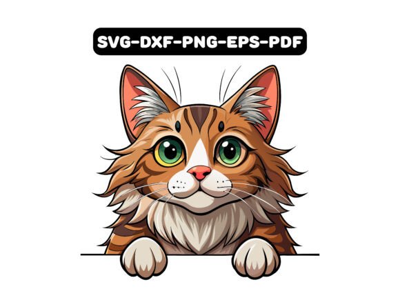 Maine Coon Cat Peeking Clipart Vector Review